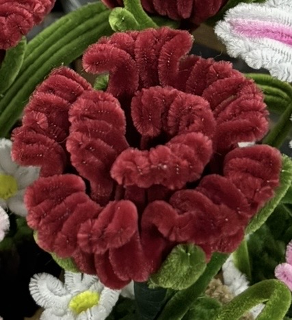 Roses