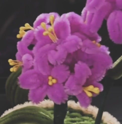 Cosmos