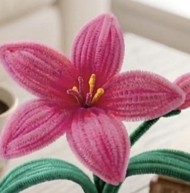 Lilies