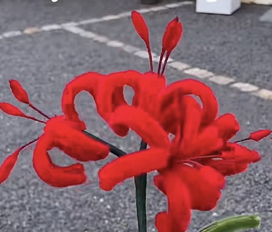 Super Spider Lily