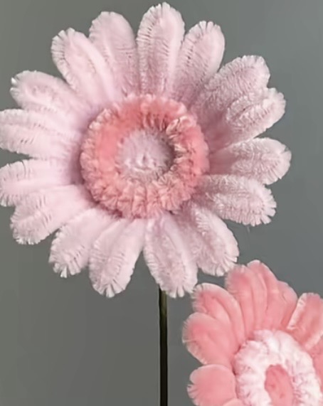 Gerbera