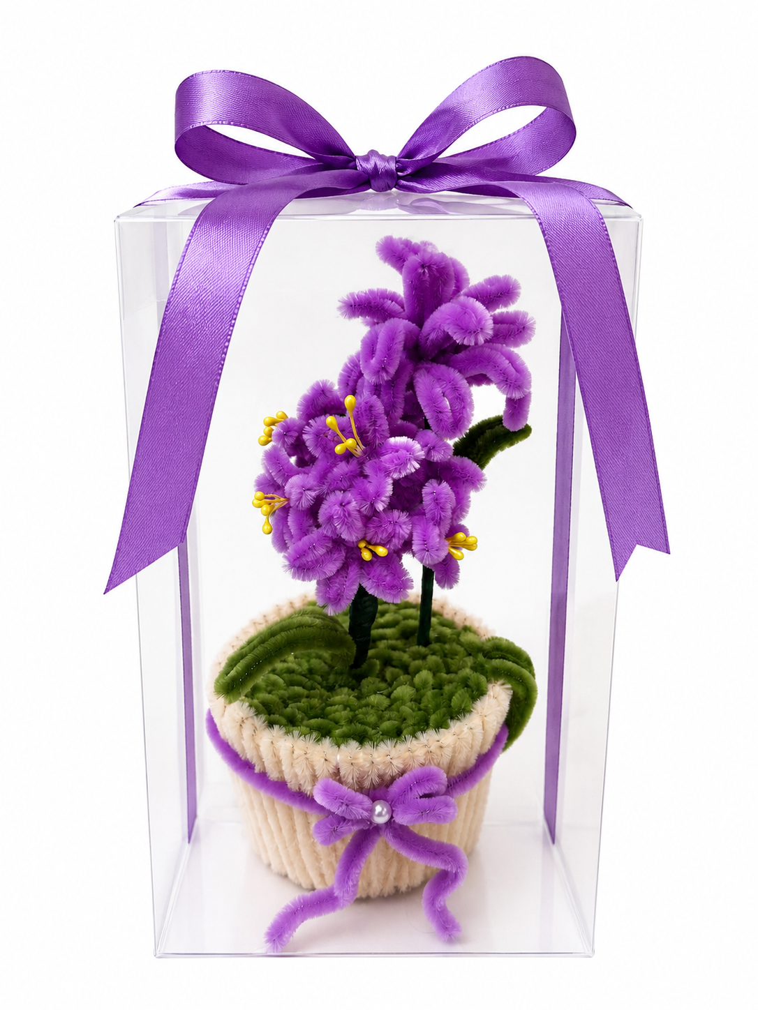 Purple Cosmos Pot