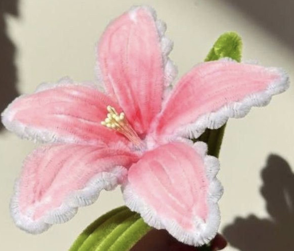 Tiger Lily